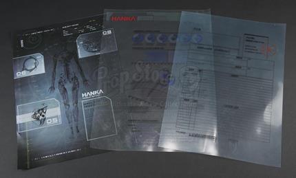 Hanka Medical Charts