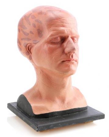 ALIEN NATION (1989 - 1990) - George Francisco's (Eric Pierpoint) Plaster Makeup Test Bust